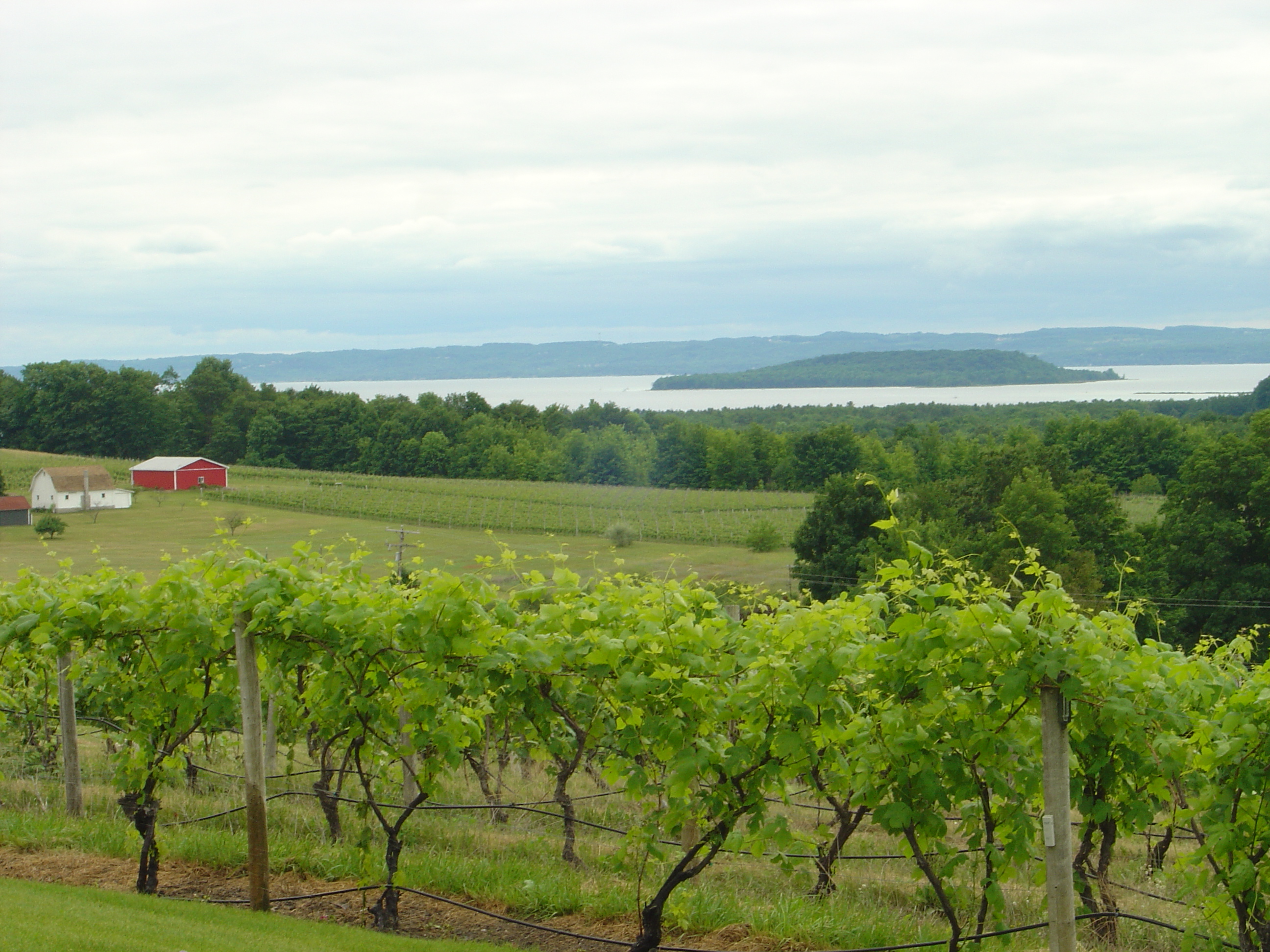 Michigan wine tours